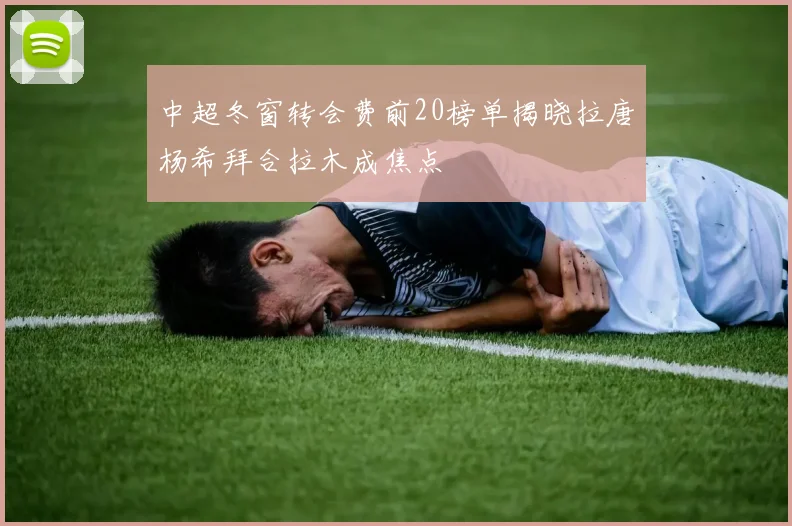 中超冬窗转会费前20榜单揭晓拉唐杨希拜合拉木成焦点