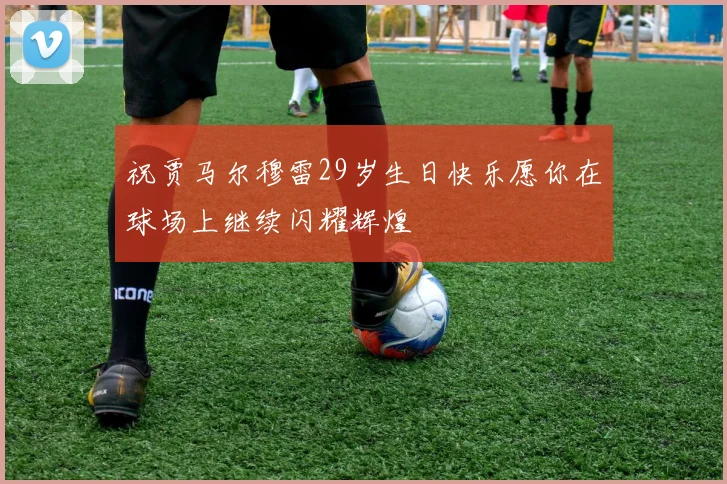 祝贾马尔穆雷29岁生日快乐愿你在球场上继续闪耀辉煌
